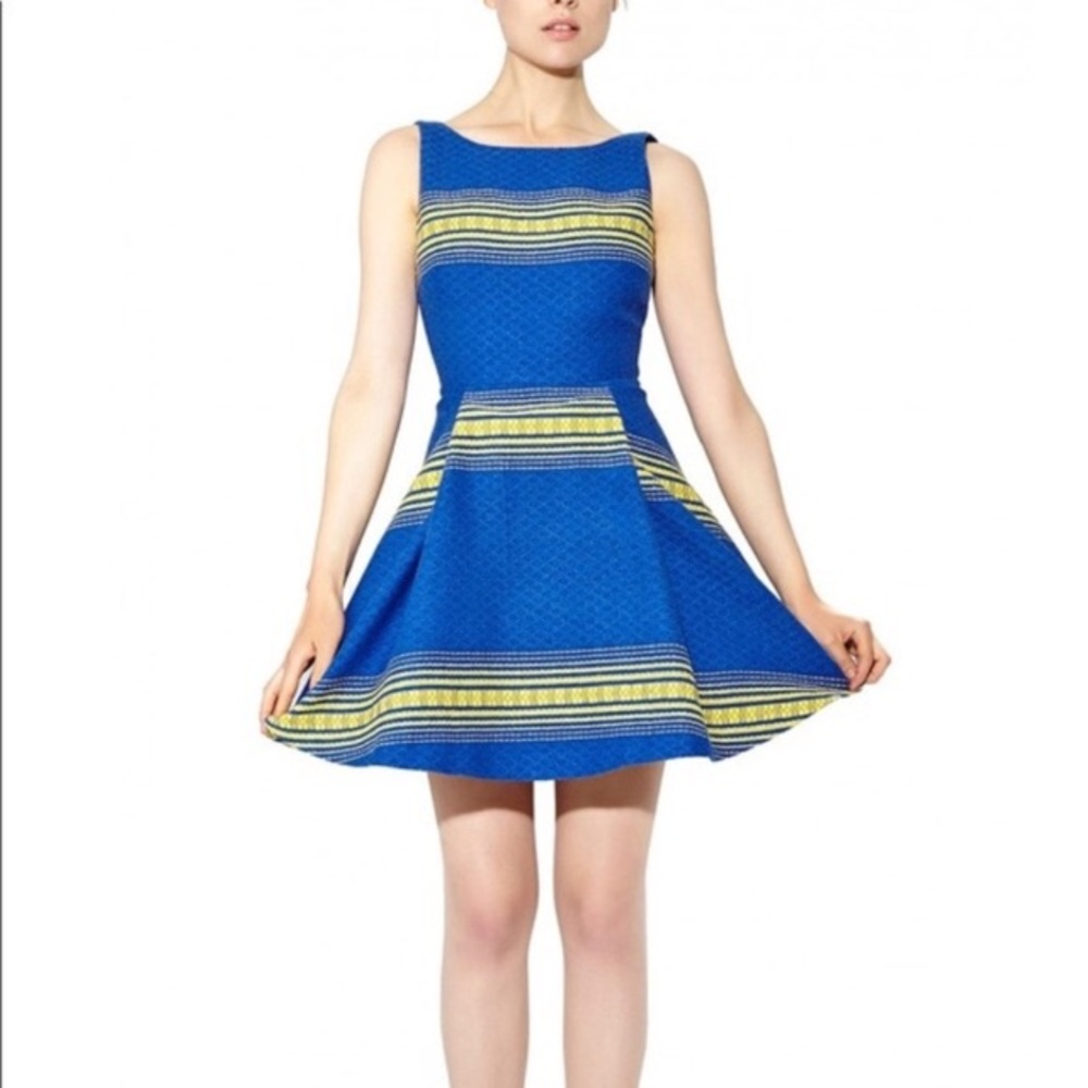 Alice + Olivia Holis Fit And Flare Mini Dress